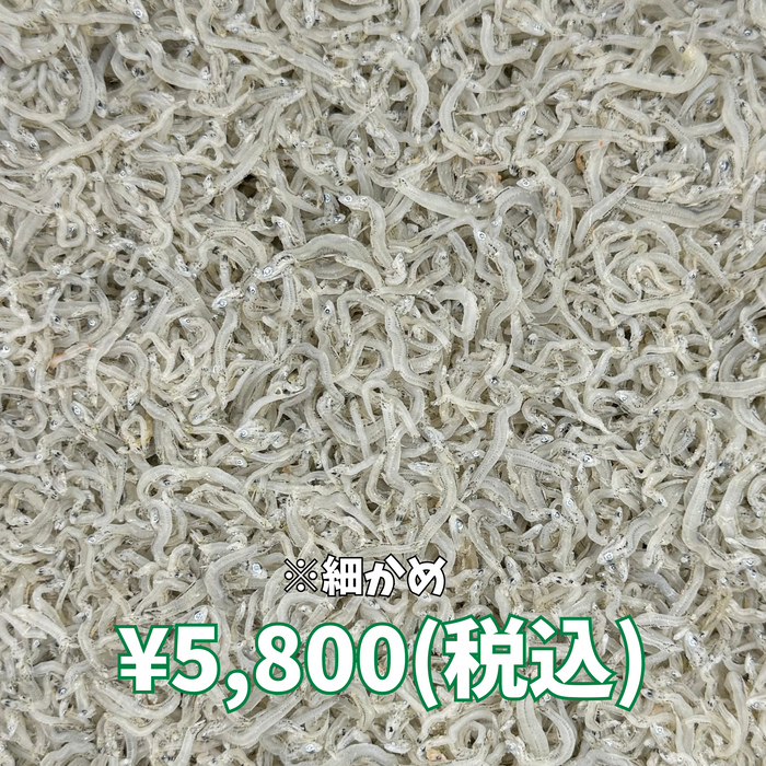かちりちりめん 1kg