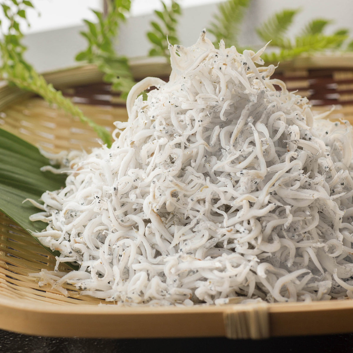 MG_4974_fix_1200x1200.jpg?v=