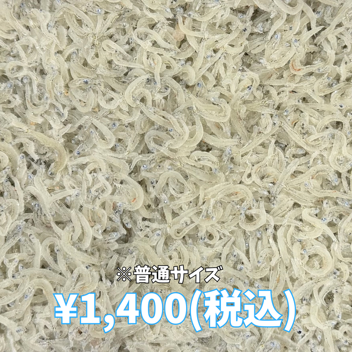 しらす干し 400g 箱入