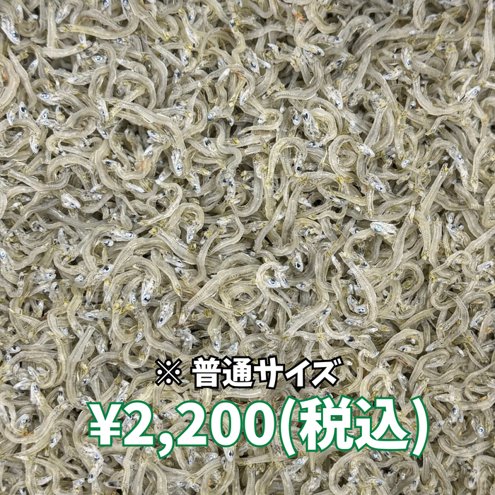 かちりちりめん 400g 箱入