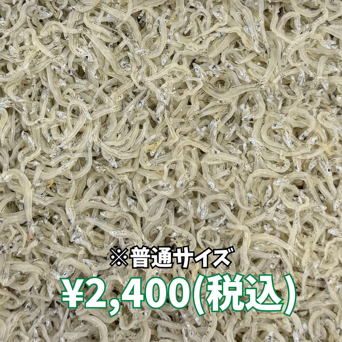 かちりちりめん 400g 箱入