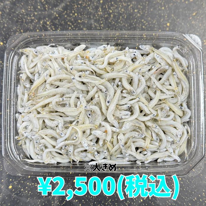 しらす干し 1kg — 丸久水産