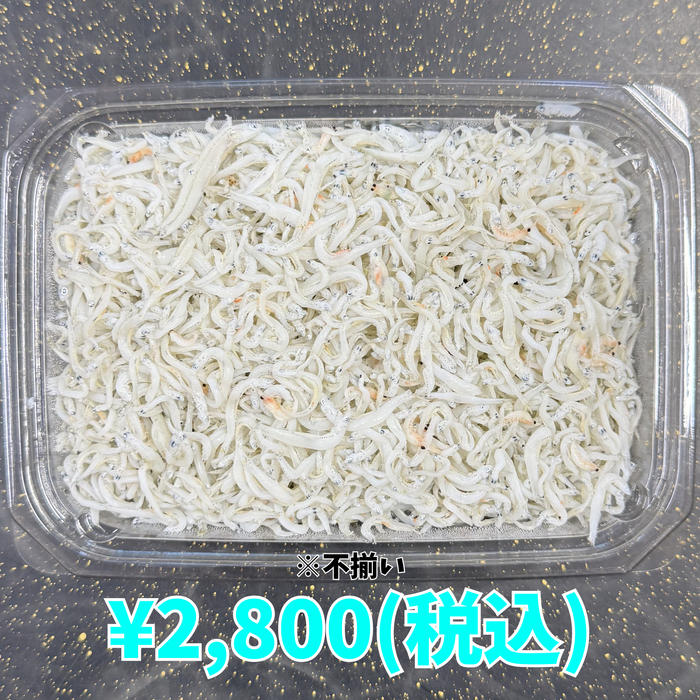 しらす干し 1kg — 丸久水産