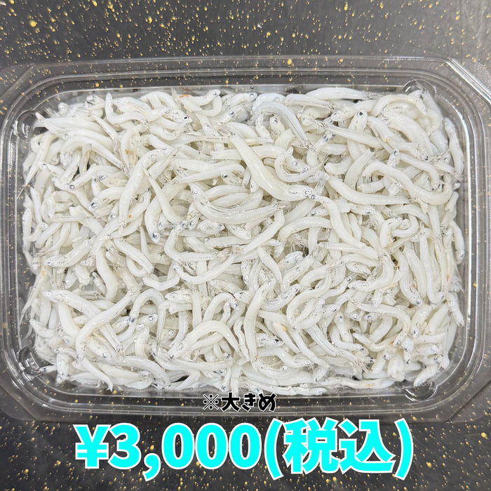 しらす干し 1kg