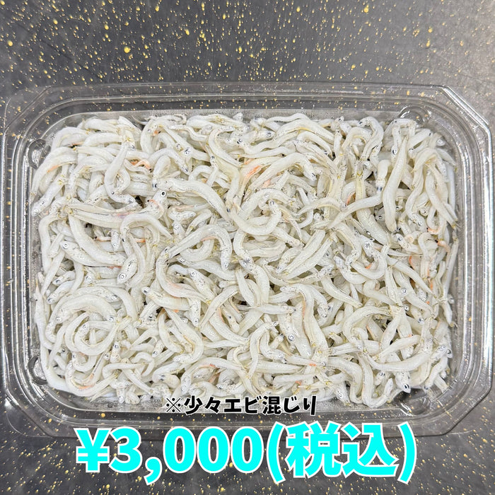 しらす干し 1kg