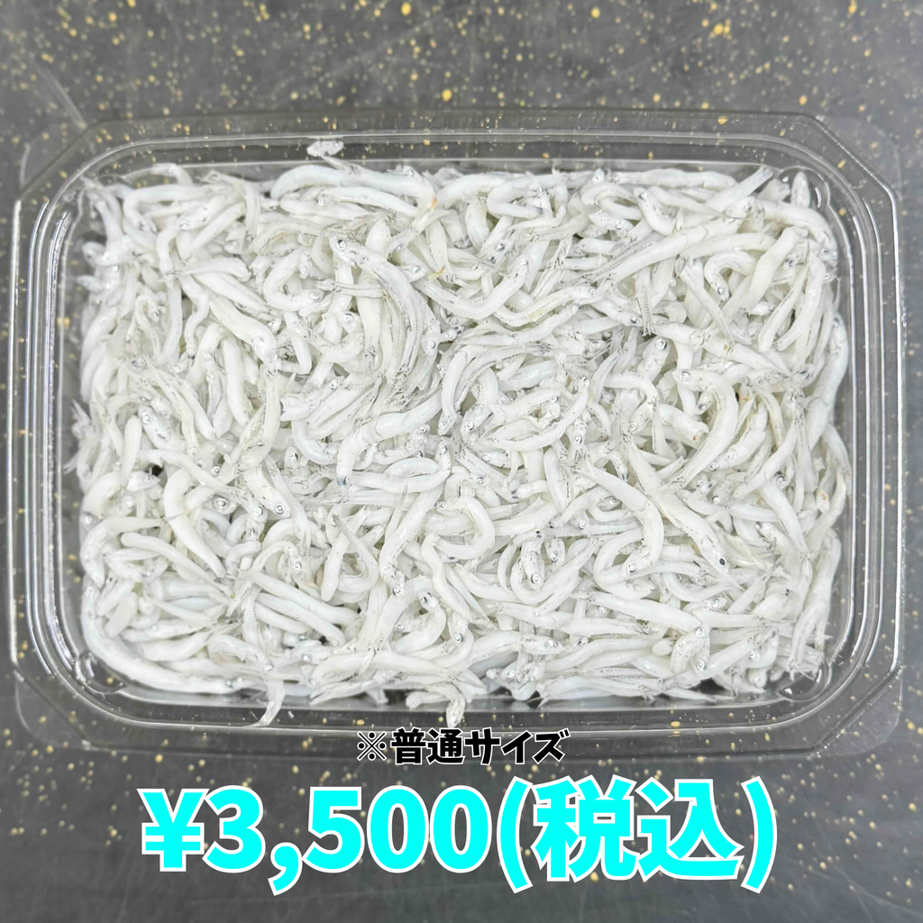 しらす干し 1kg — 丸久水産
