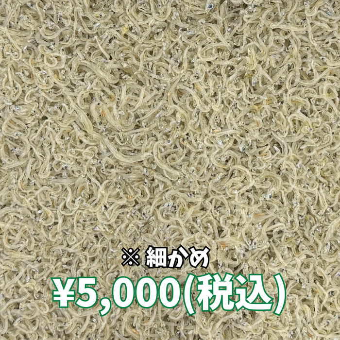 かちりちりめん 1kg