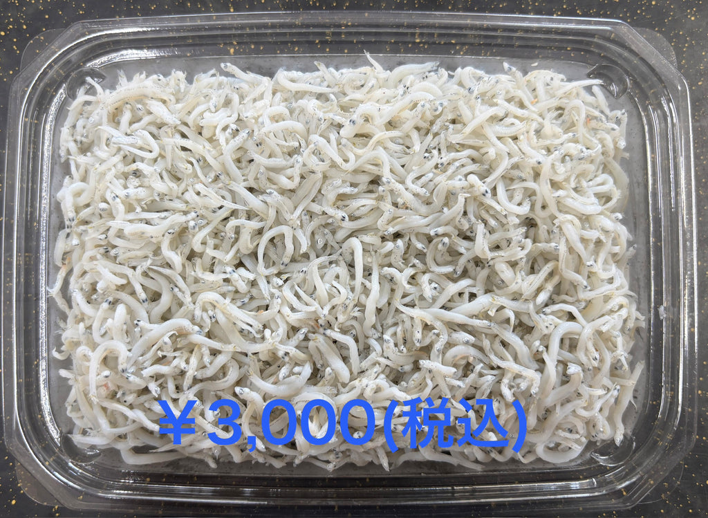 しらす干し 1kg — 丸久水産