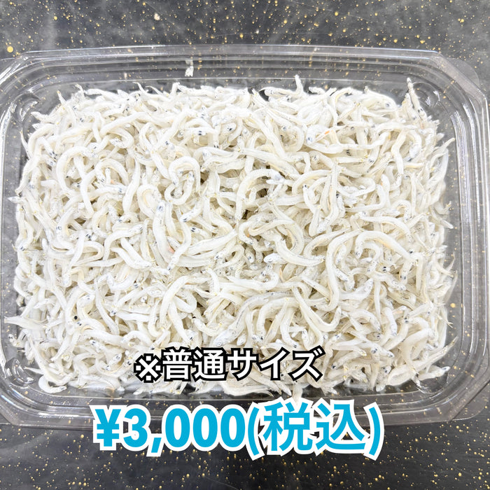 しらす干し 1kg