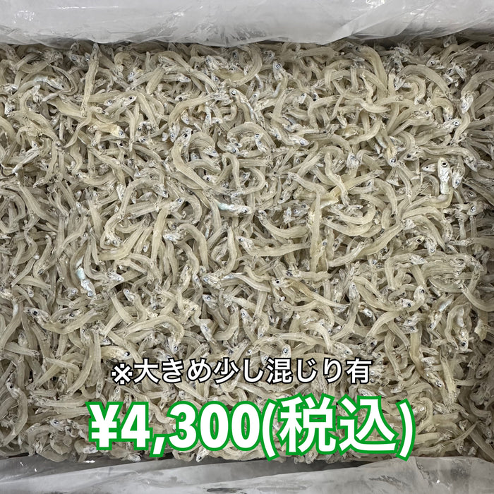 かちりちりめん 1kg