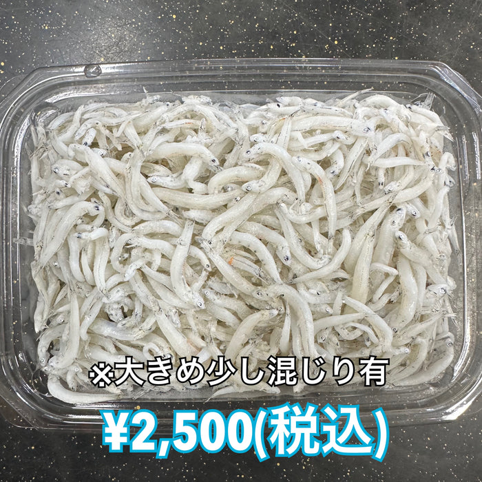 しらす干し 1kg