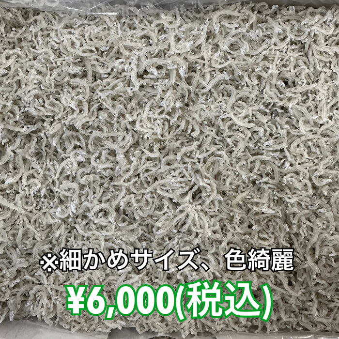 かちりちりめん 1kg