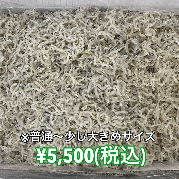 かちりちりめん 1kg