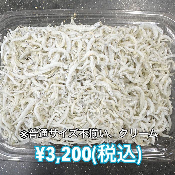 しらす干し 1kg