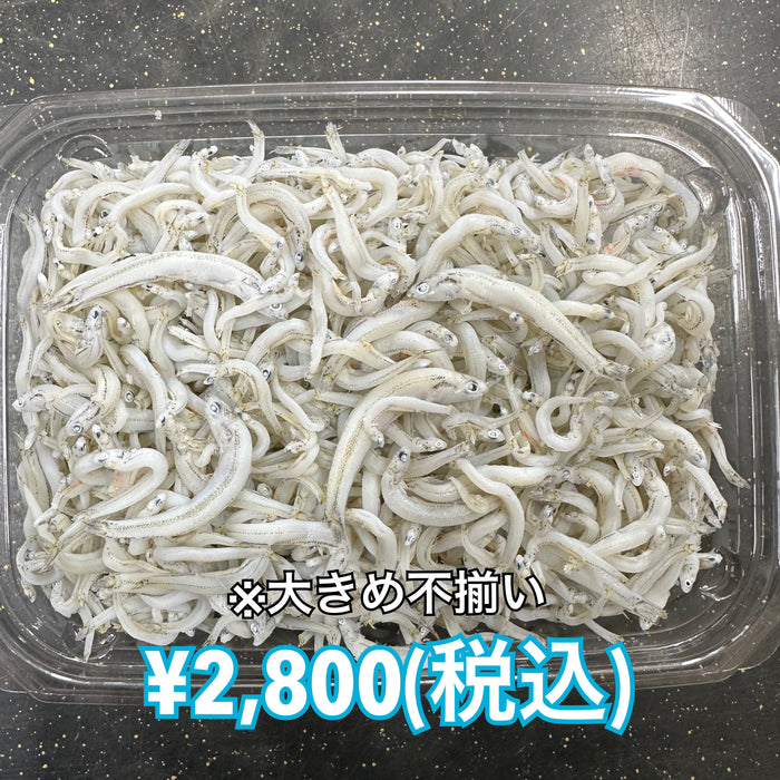 しらす干し 1kg