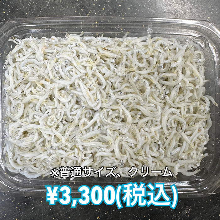 しらす干し 1kg