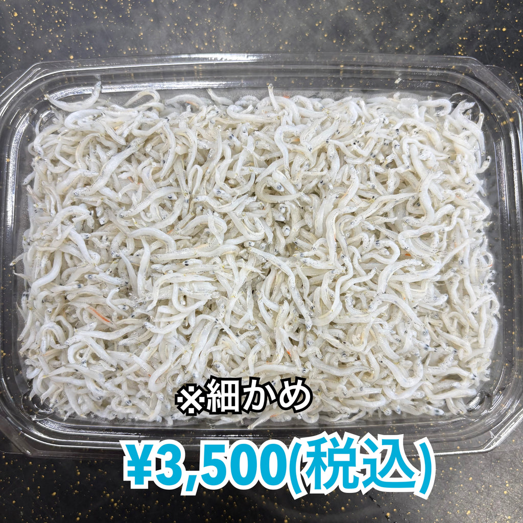しらす干し 1kg — 丸久水産