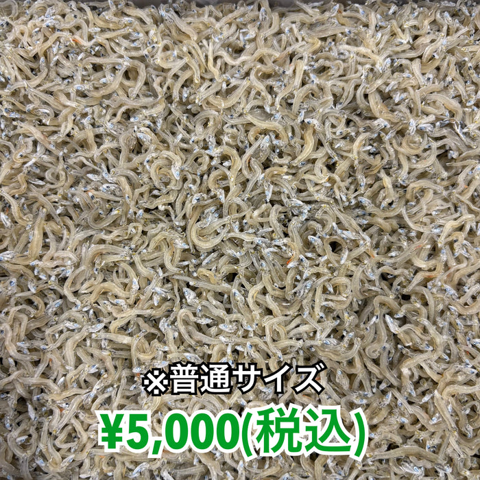 かちりちりめん 1kg
