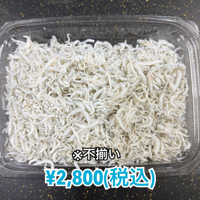 しらす干し 1kg